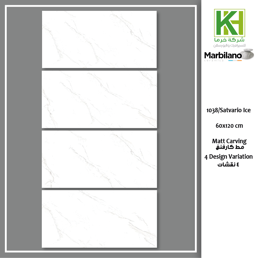 Picture of Indian Matt carving Porcelain tile 60x120cm satvario ice